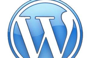 Wordpress Plugin