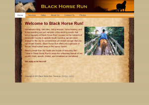 blackhorse.com
